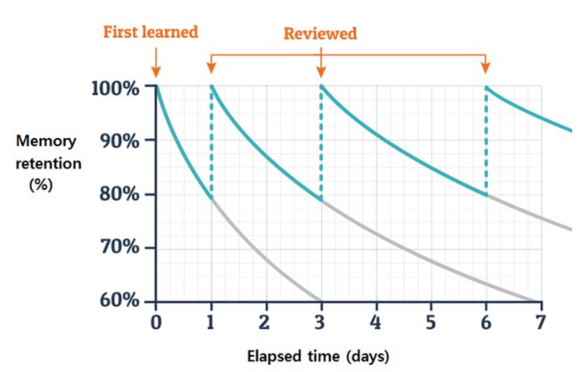 How spaced learning improves storage